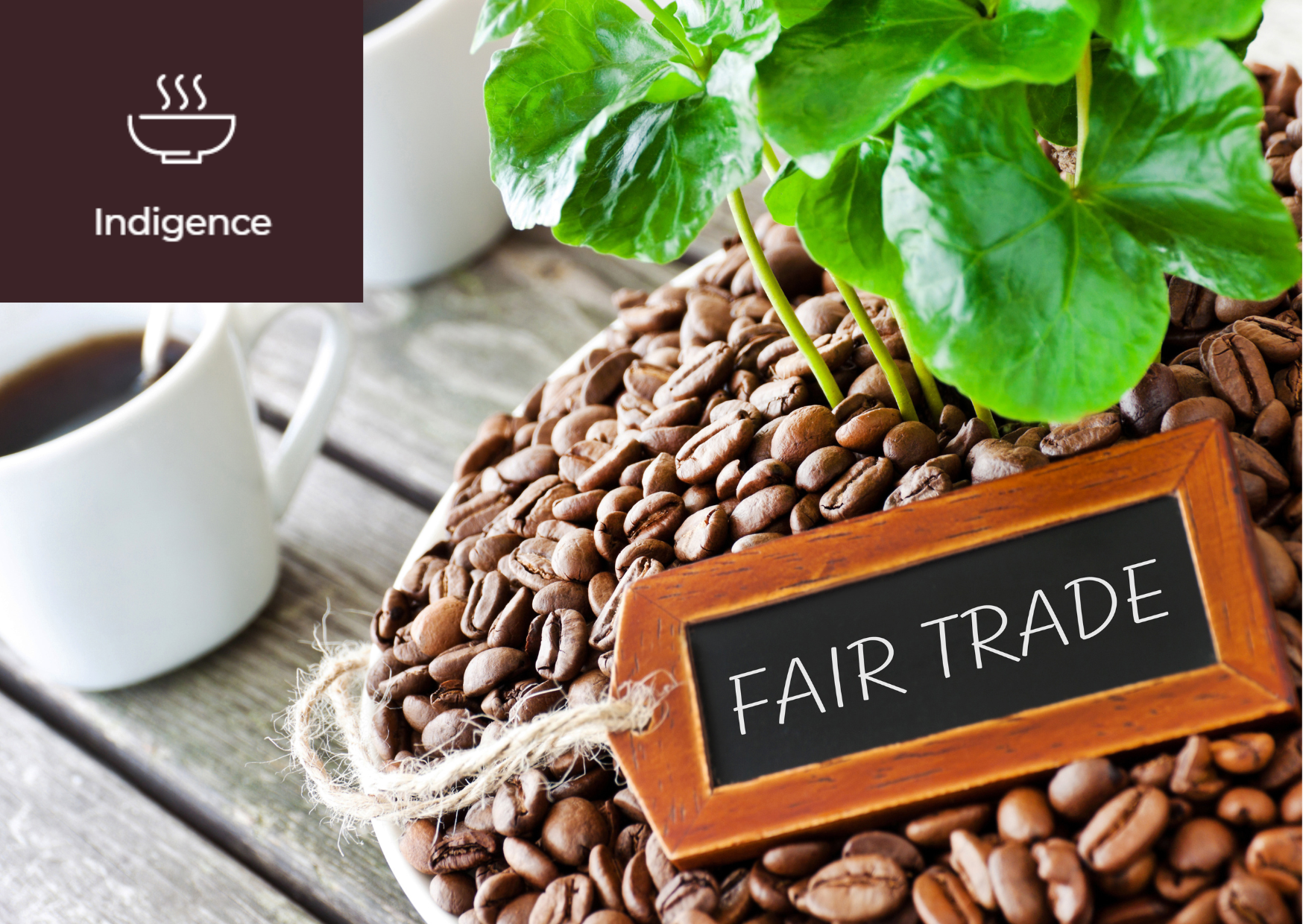 What is Fair Trade? 썸네일