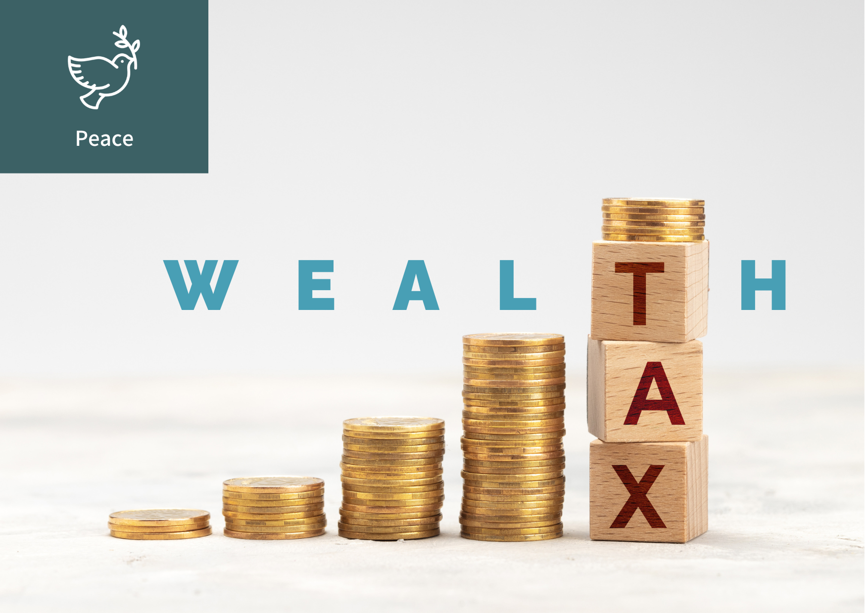 What is the Wealth Tax? 이미지