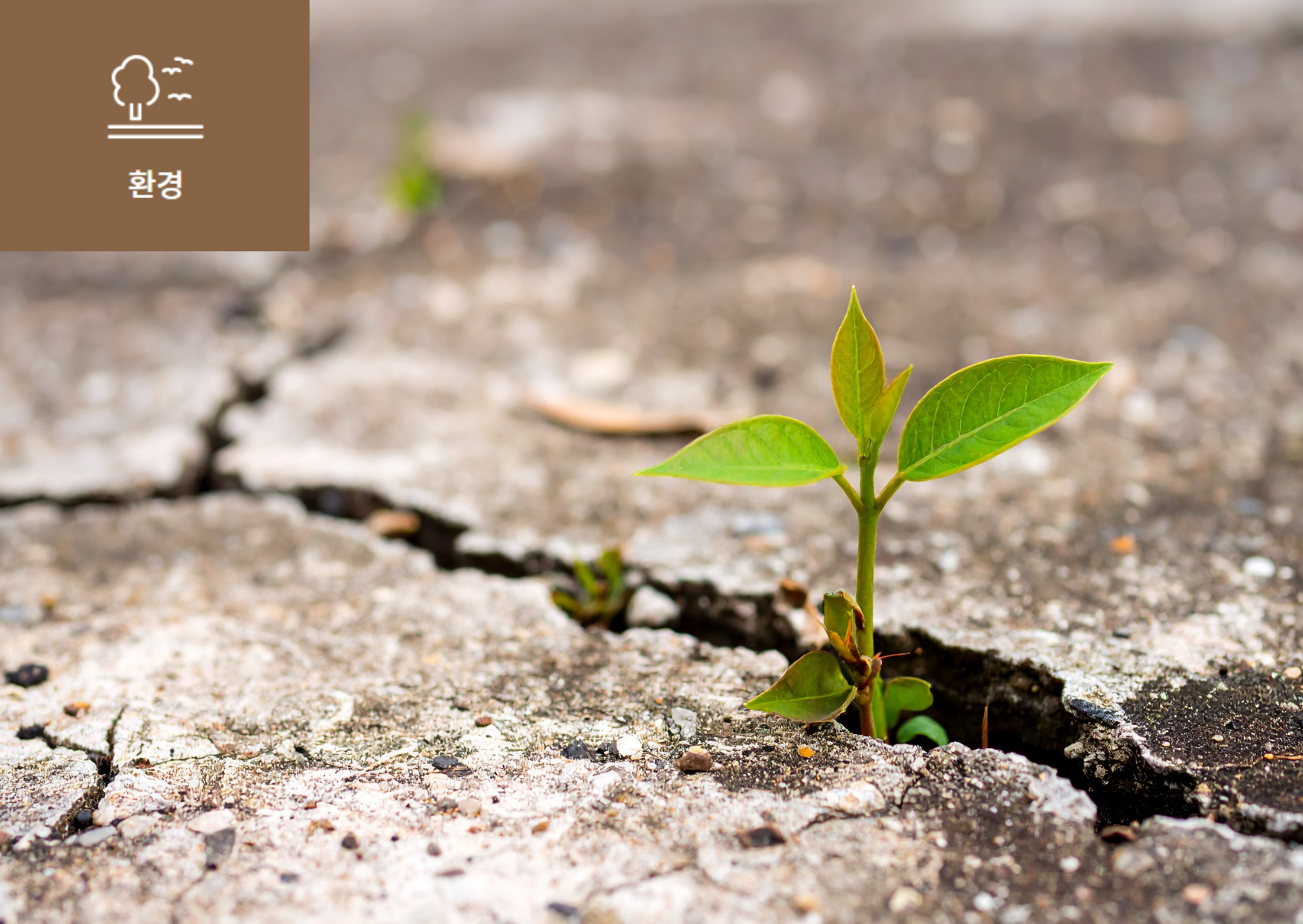 기후복원력(Climate_Resilience)이란? 썸네일