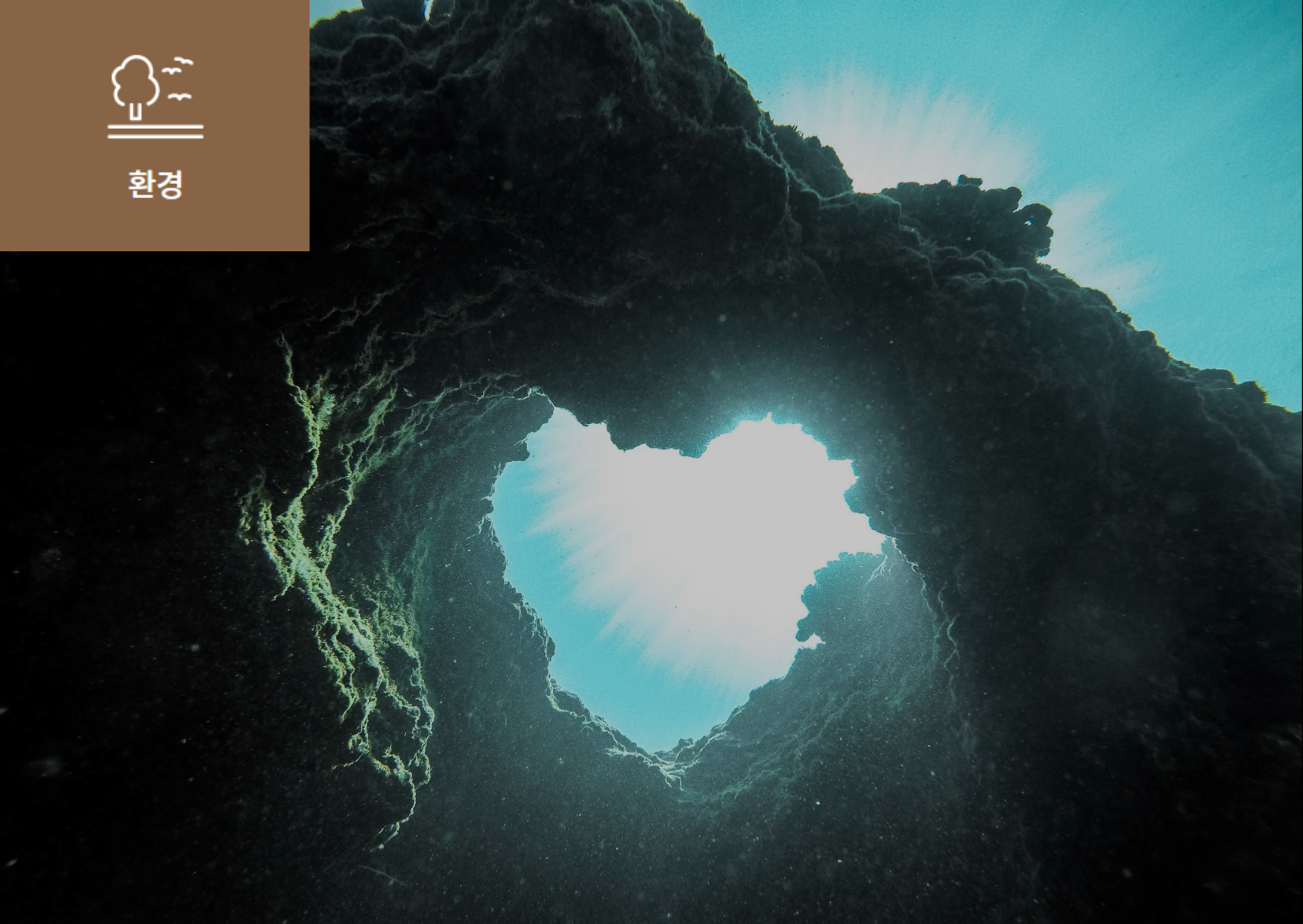 해양산성화란(Ocean acidification)? 이미지