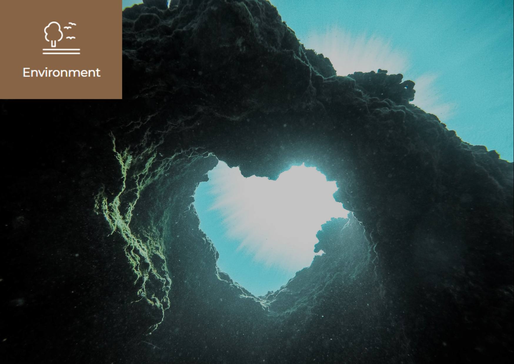 What is Ocean Acidification? 이미지