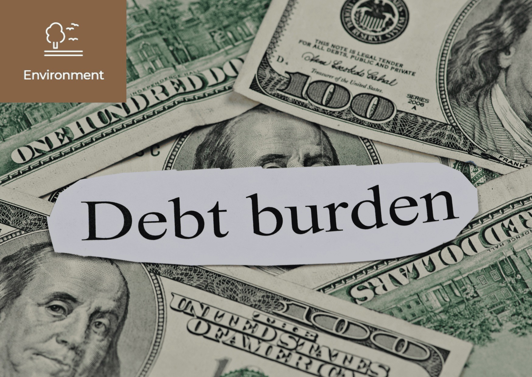What is Debt Burden? 이미지