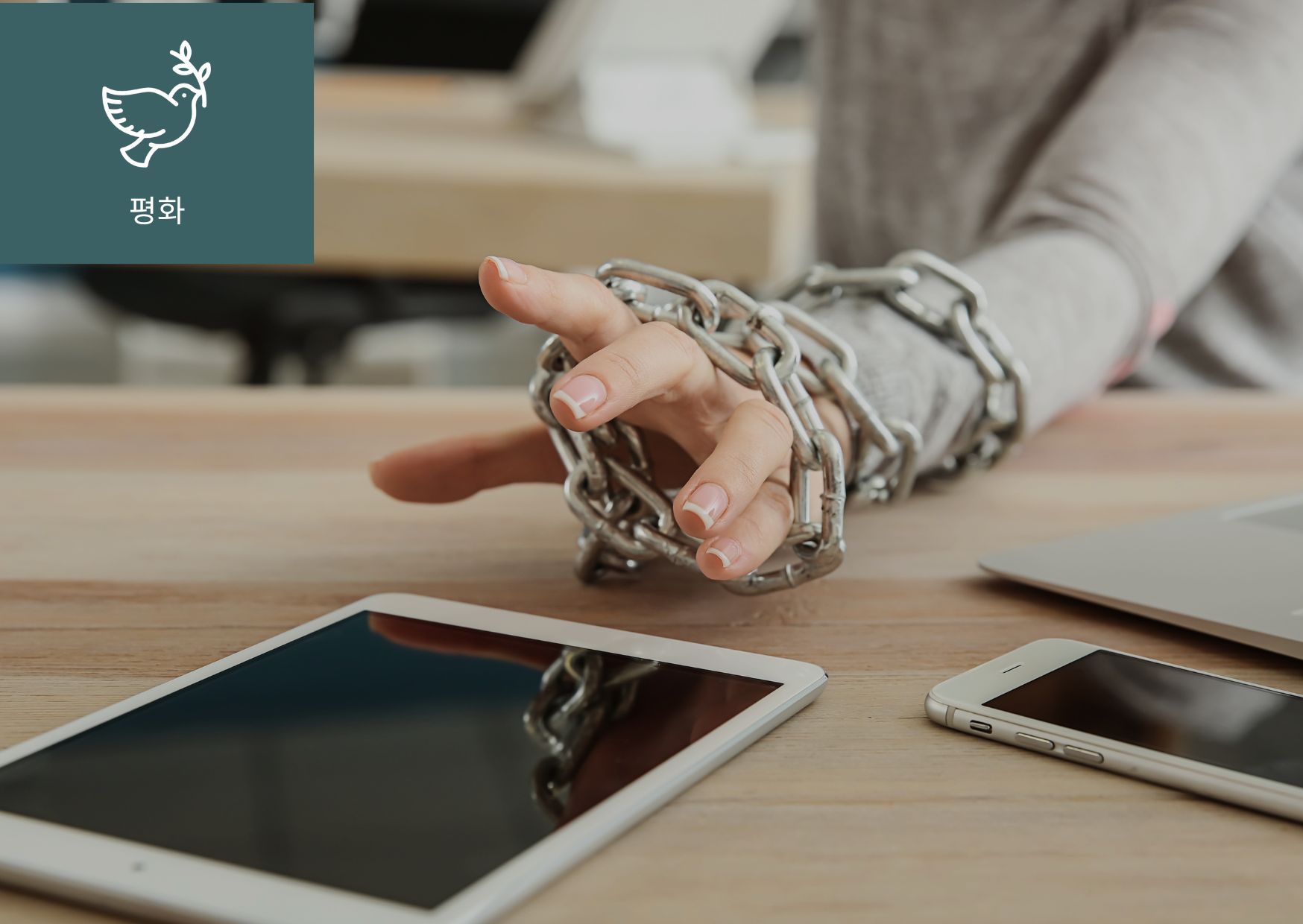 디지털 난민(Digital Refugee)이란? 이미지