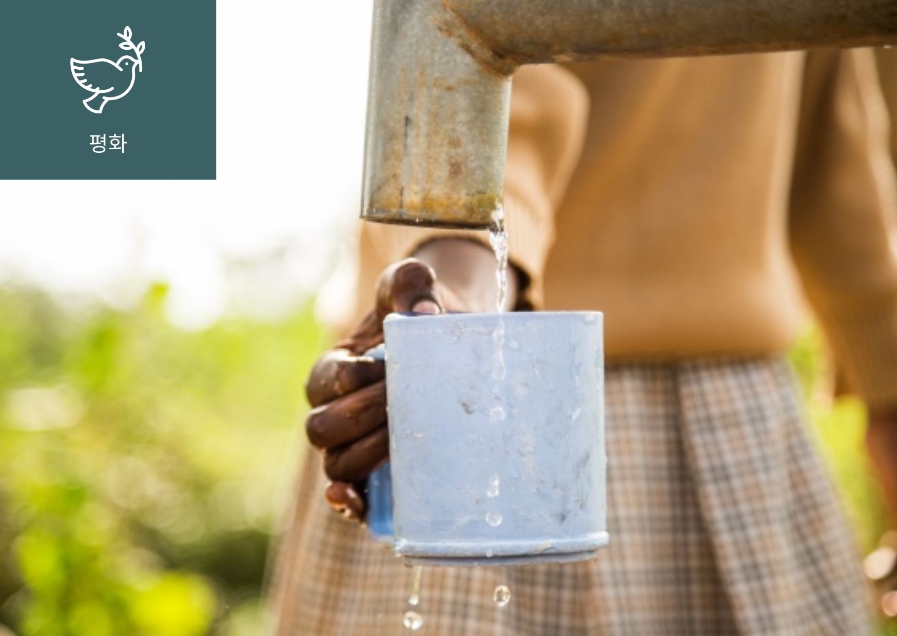 물 권리 선언(Right to Water)이란? 썸네일