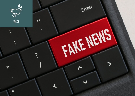 정보전(Information Warfare)이란? 이미지