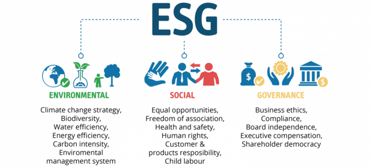 ESG-Criterias-1536x696-1-1024x464.png